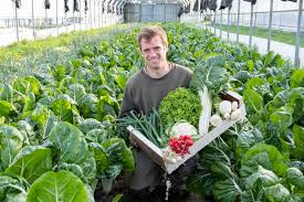 producteur de legume autour de moi