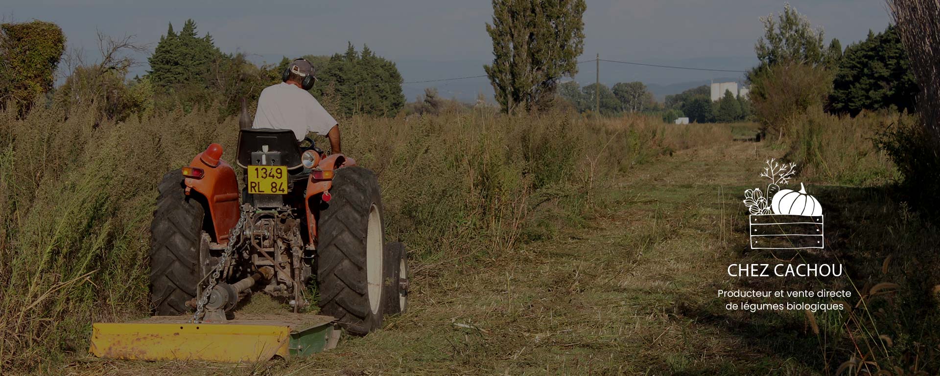 Découvrez les Producteurs Bio Autour de Moi : Une Approche Locale et Responsable