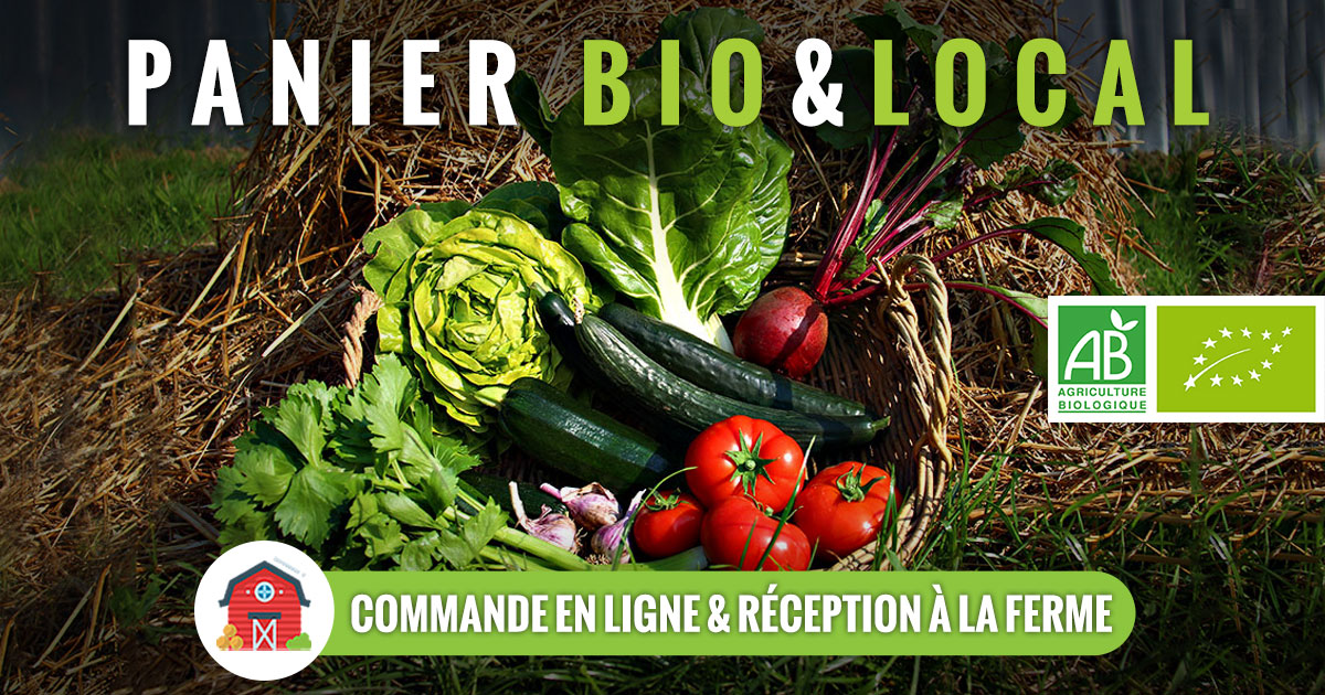 Découvrez les Producteurs de Légumes Autour de Moi