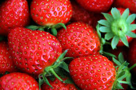 producteurs locaux bio autour de moi