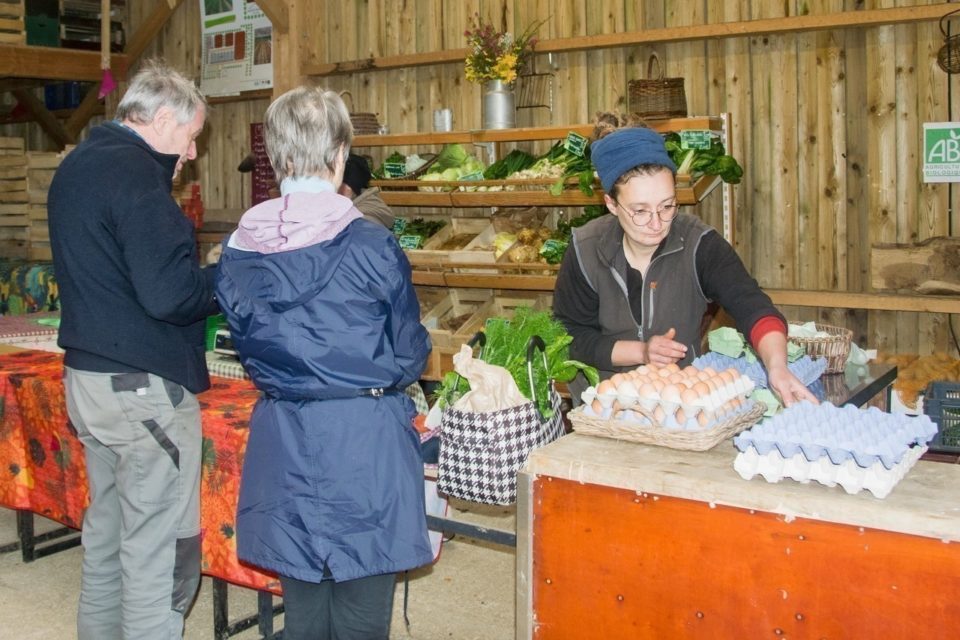 Trouver une ferme et des produits locaux autour de moi : nos conseils pour bien choisir