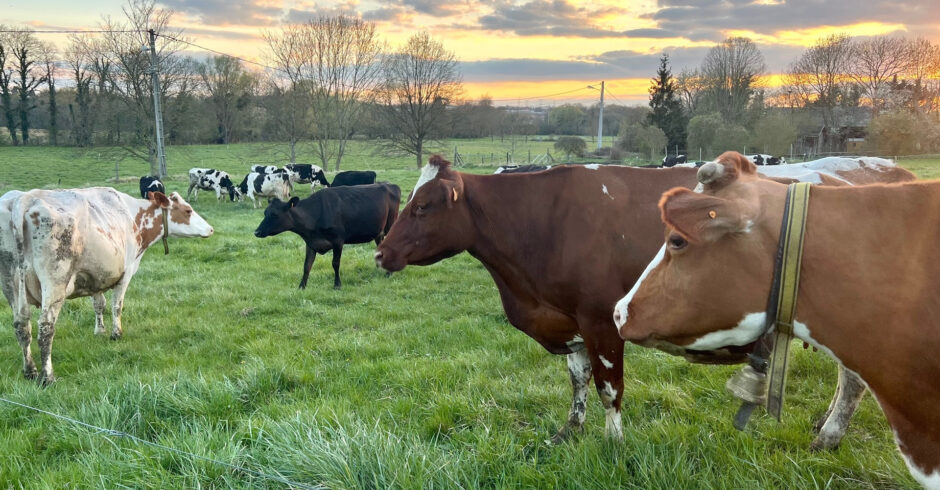 produits de la ferme à proximité